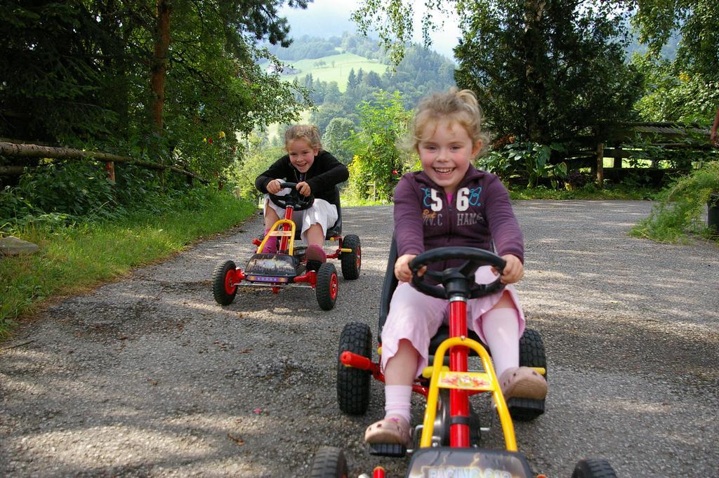 Bio-bauernhof Rettenbachgut Werfen
