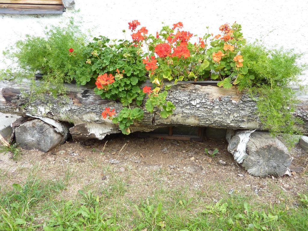 Bio-bauernhof Rettenbachgut Werfen