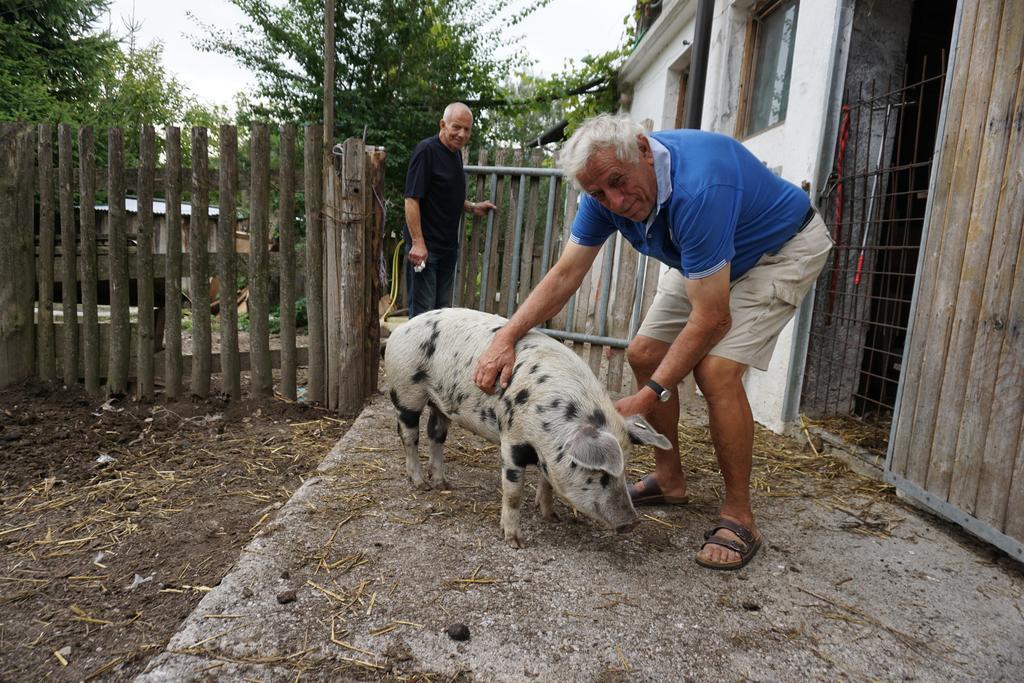 Farm stay Bio-bauernhof Rettenbachgut *