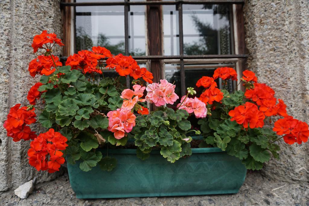 Farm stay Bio-bauernhof Rettenbachgut *